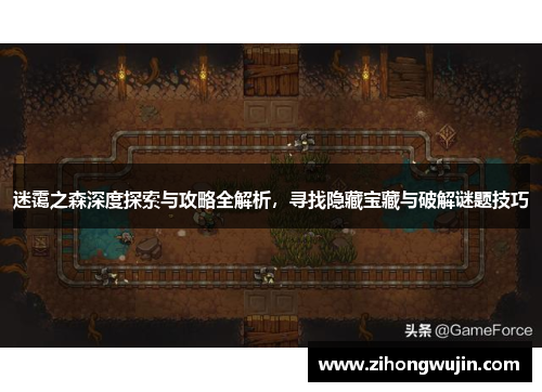迷霭之森深度探索与攻略全解析，寻找隐藏宝藏与破解谜题技巧